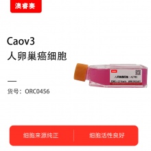 Caov3 人卵巢癌细胞