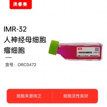 IMR-32 人神经母细胞瘤细胞