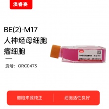 BE2-M17 人神经母细胞瘤细胞