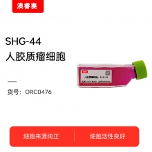 SHG-44 人胶质瘤细胞