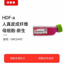 HDF-a 人真皮成纤维母细胞-新生 HDF-n