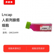 Lncap 人前列腺癌细胞