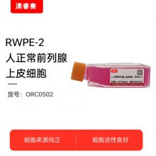 RWPE-2 人正常前列腺上皮细胞