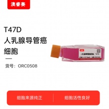T47D 人乳腺导管癌细胞