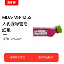 MDA-MB-435S 人乳腺导管癌细胞
