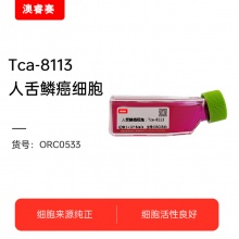 Tca-8113人舌鳞癌细胞