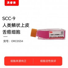 SCC-9人类鳞状上皮舌癌细胞