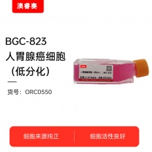 BGC-823人胃腺癌细胞（低分化）