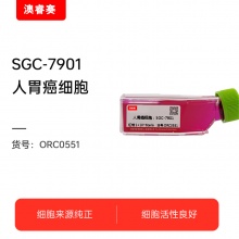 SGC-7901人胃癌细胞