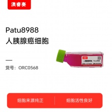 Patu8988人胰腺癌细胞