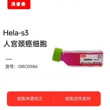 Hela-s3人宫颈癌细胞