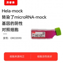 Hela-mock转染了microRNA-mock基因的阴性对照细胞