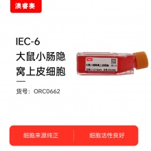 IEC-6   大鼠小肠隐窝上皮细胞