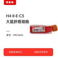 H4-II-E-C3  大鼠肝癌细胞
