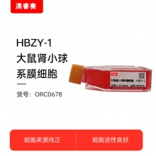 HBZY-1  大鼠肾小球系膜细胞