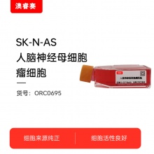 SK-N-AS   人脑神经母细胞瘤细胞