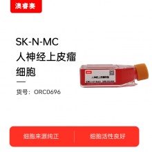 SK-N-MC   人神经上皮瘤细胞