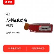 H4   人神经胶质瘤细胞