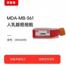 MDA-MB-361   人乳腺癌细胞
