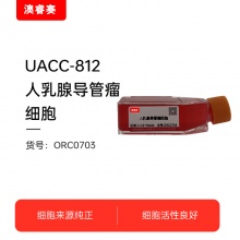 UACC-812  人乳腺导管瘤细胞