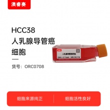 HCC38   人乳腺导管癌细胞