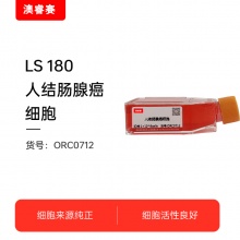 LS 180  人结肠腺癌细胞