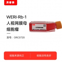 WERI-Rb-1  人视网膜母细胞瘤