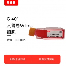 G-401  人肾癌Wilms细胞