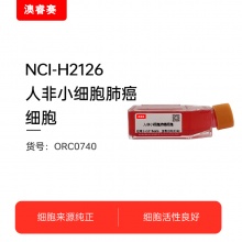 NCI-H2126   人非小细胞肺癌细胞