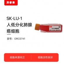 SK-LU-1   人低分化肺腺癌细胞