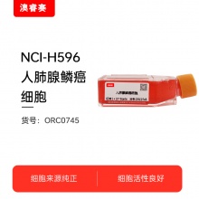 NCI-H596   人肺腺鳞癌细胞