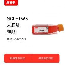 NCI-H1563   人胚肺细胞
