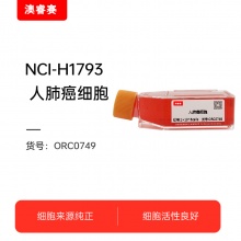 NCI-H1793    人肺癌细胞
