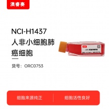 NCI-H1437  人非小细胞肺癌细胞