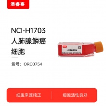 NCI-H1703  人肺腺鳞癌细胞