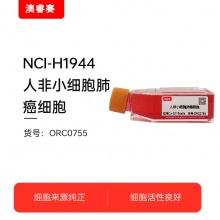 NCI-H1944   人非小细胞肺癌细胞