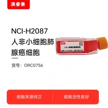NCI-H2087  人非小细胞肺腺癌细胞