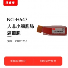 NCI-H647  人非小细胞肺癌细胞