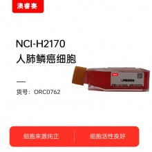 NCI-H2170  人肺鳞癌细胞