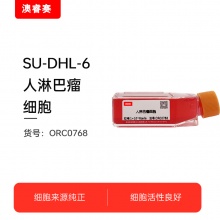 SU-DHL-6   人淋巴瘤细胞