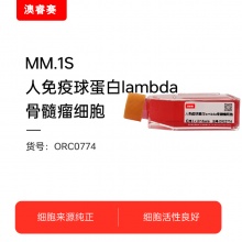 MM.1S  人免疫球蛋白lambda骨髓瘤细胞