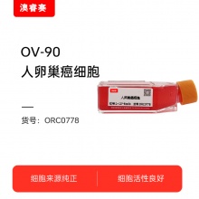 OV-90 人卵巢癌细胞