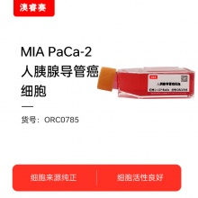 MIA PaCa-2   人胰腺导管癌细胞