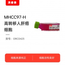 MHCC97-H  高转移人肝癌细胞