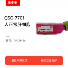 QSG-7701  人正常肝细胞