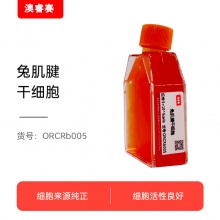 兔肌腱干细胞