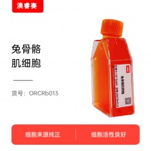兔骨骼肌细胞