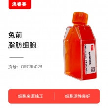 兔前脂肪细胞