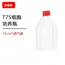 等离子处理 T75细胞培养瓶，75cm&sup2;,透气盖