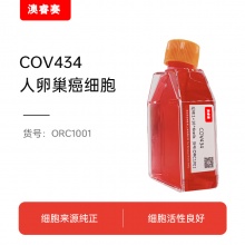 人卵巢癌细胞;COV434